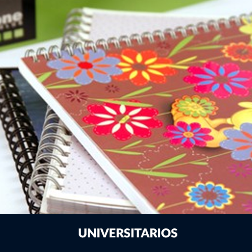 Cuadernos Universitarios